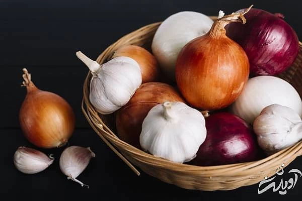 روش از بین بردن سوسک ها از بین بردن سوسک